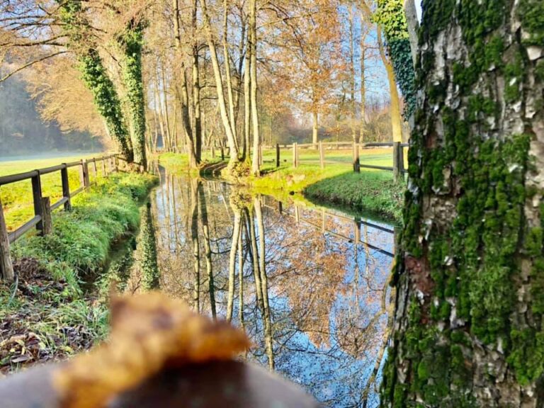 Giornate FAI dâAutunno 2026